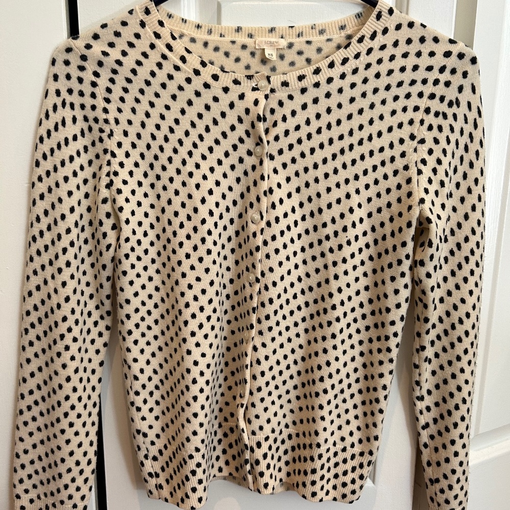 JCrew Wool Cardigan